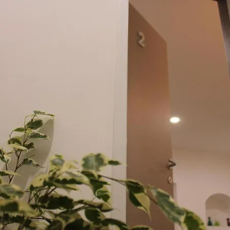 Nocleg ze śniadaniem Luma 3*