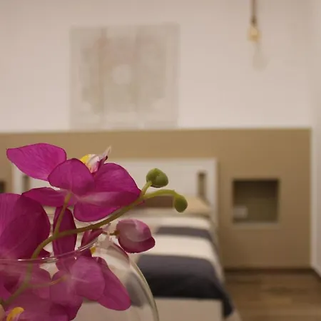 Nocleg ze śniadaniem Luma Caserta